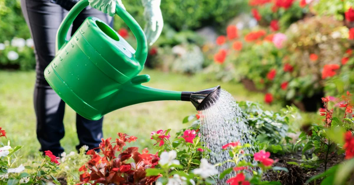 Watering Garden